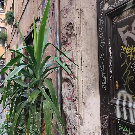 Casa Ludovica Trastevere-3